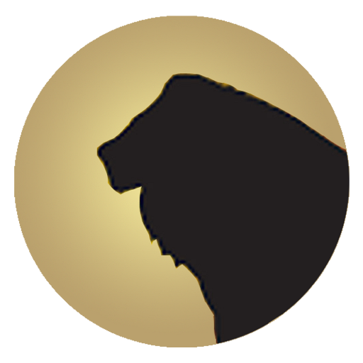 8CO | Top Construction Companies in Canada | The Lion and Sun